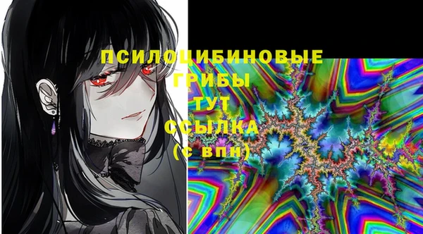 герыч Арсеньев