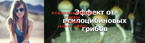 герыч Арсеньев